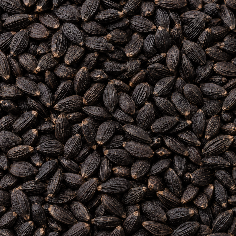 Aceite de Semilla Negra